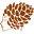 Pani Szyszka® logo