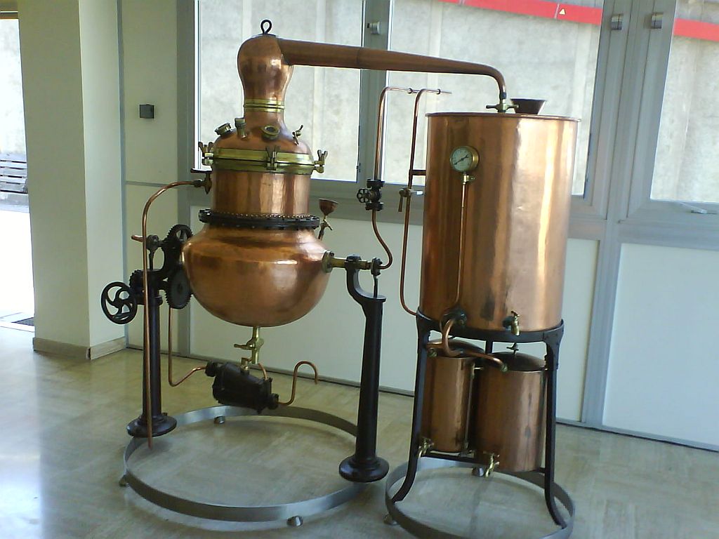 Książka "Pani Szyszka® w podróży"