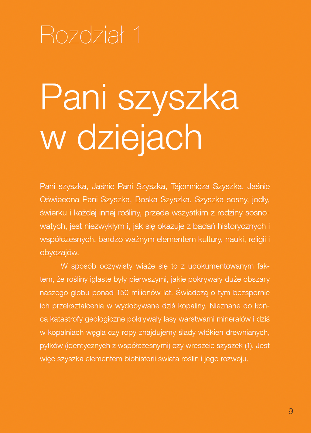 Książka "Pani Szyszka® w podróży"