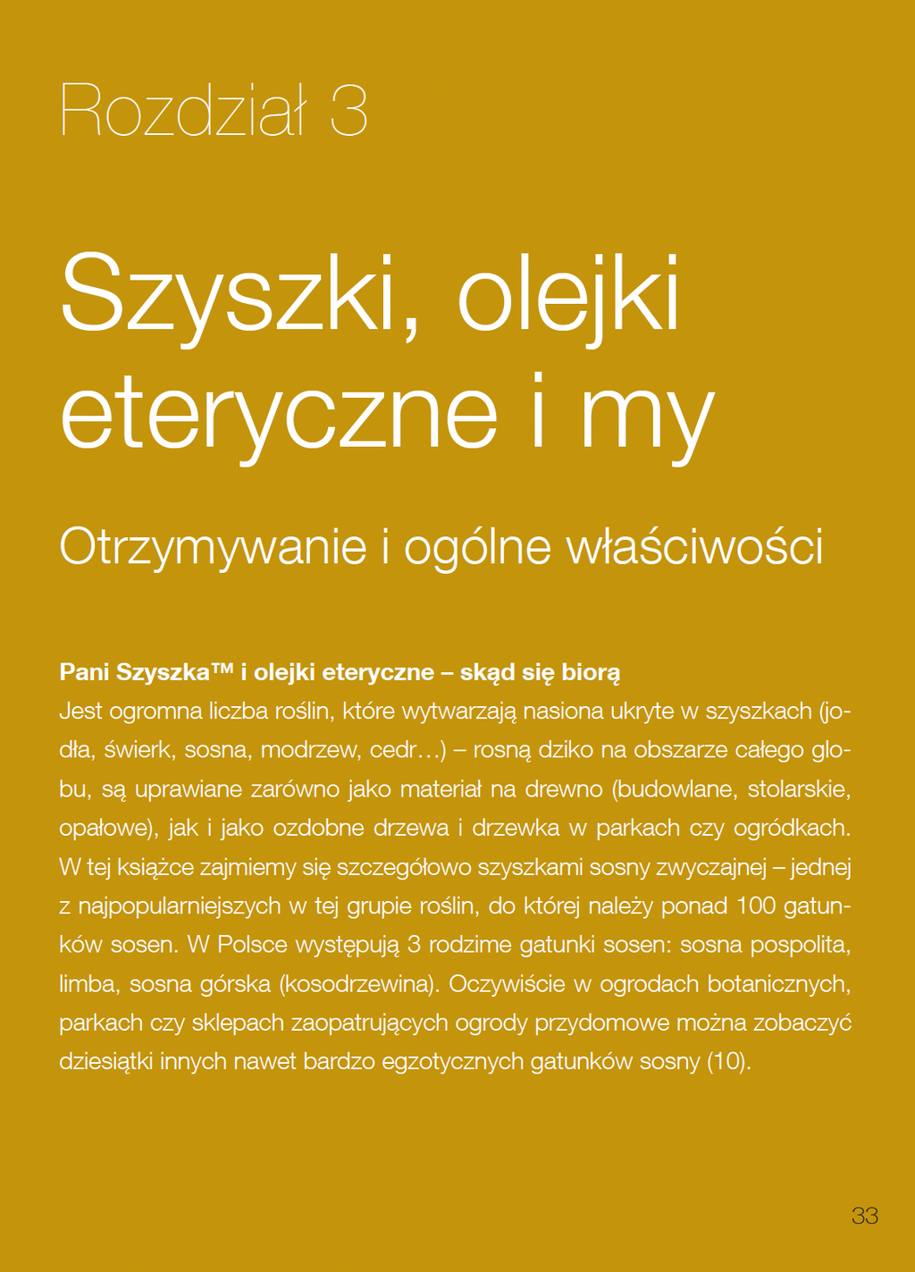 Książka "Pani Szyszka® w podróży"