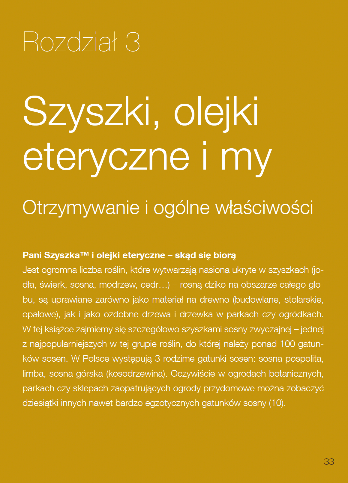 Książka "Pani Szyszka® w podróży"
