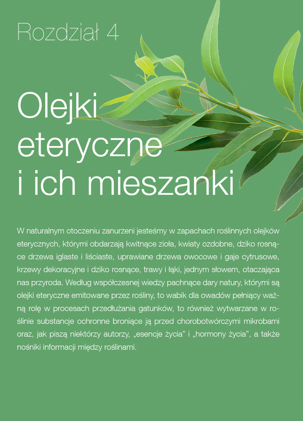 Książka "Pani Szyszka® w podróży"