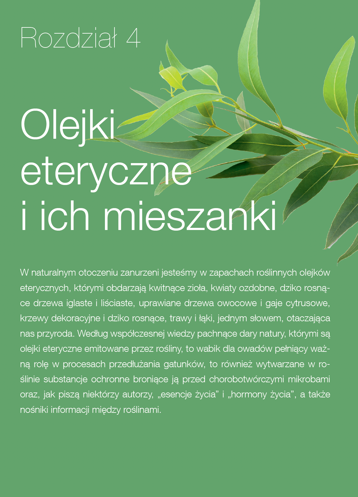 Książka "Pani Szyszka® w podróży"