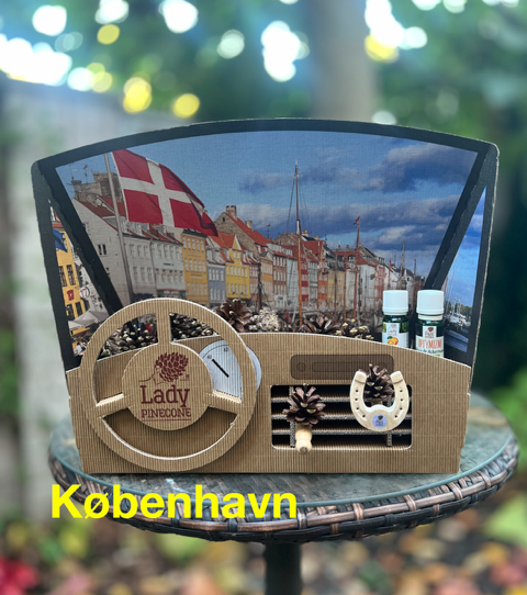 Pani Szyszka® Cockpit Counter Custom