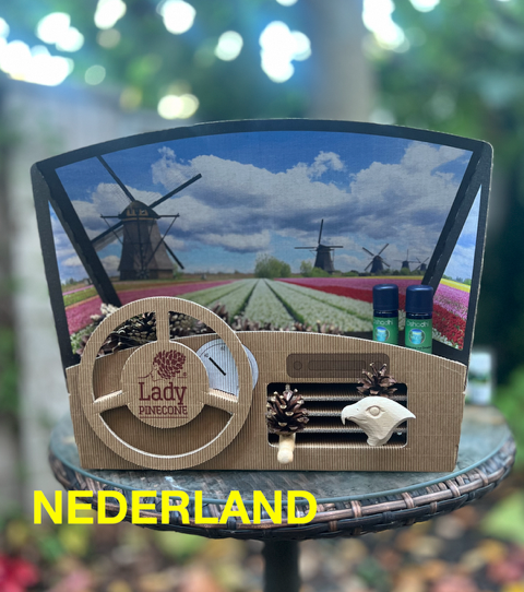 Pani Szyszka® Cockpit Counter Custom
